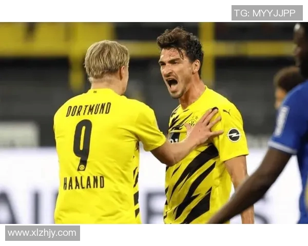 沙尔克04新帅掌舵期待重返巅峰